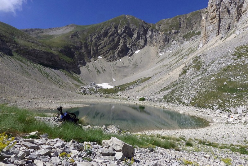 Orchidee e fiori del Monte Vettore e del Lago di Pilato � 26 giugno 2025.